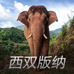 都是亿元先生！厄德高全场最低2.3分+数据辣眼睛，赖斯9.2分